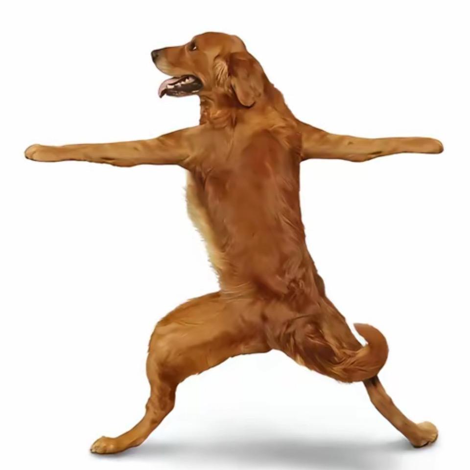 SI