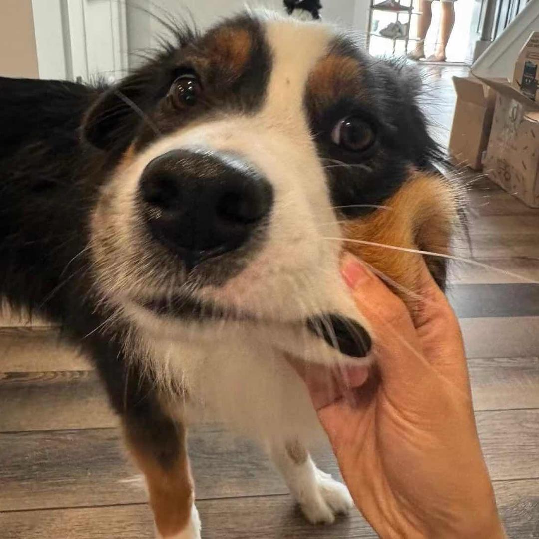 圥