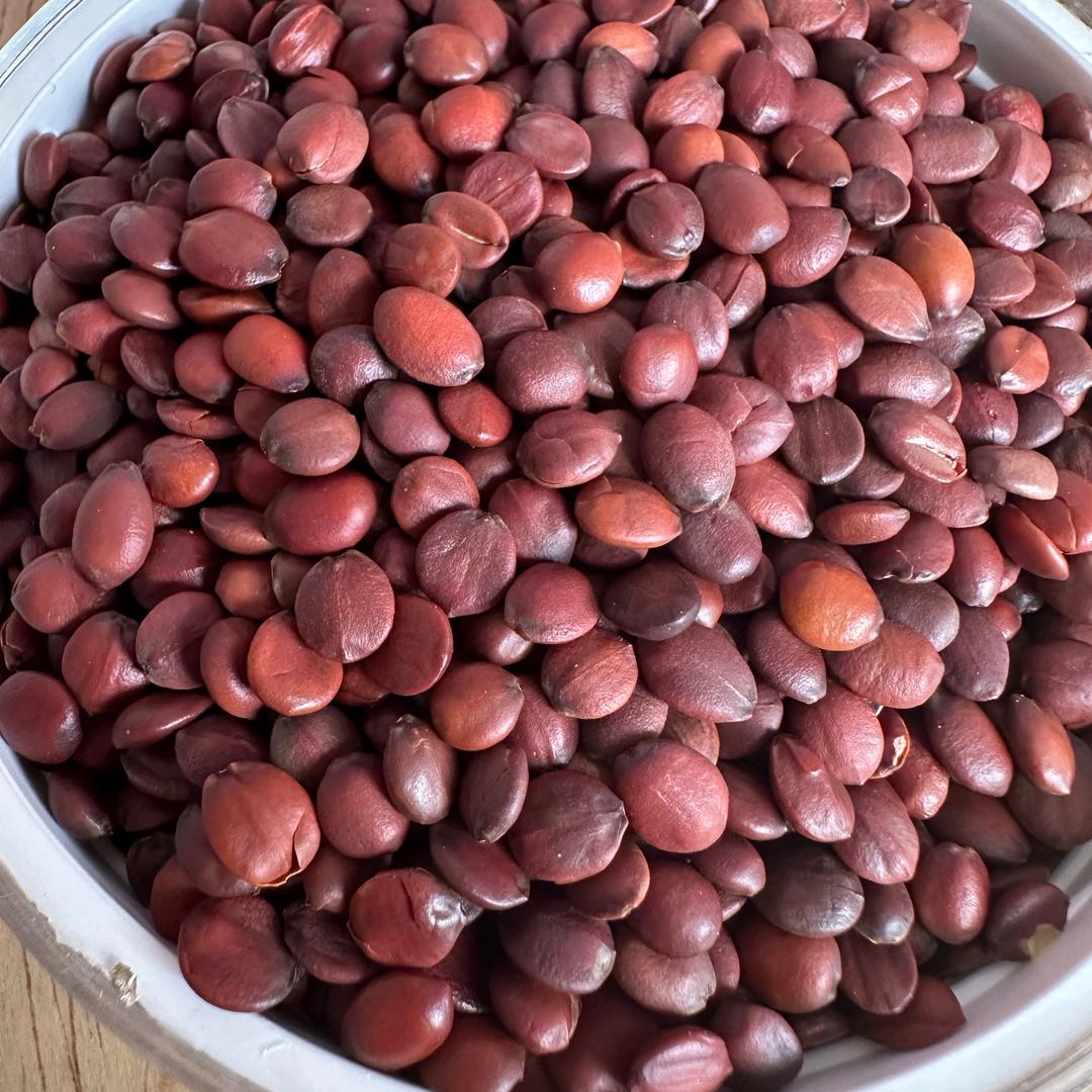 内丘屿襄丘酸枣仁优品店