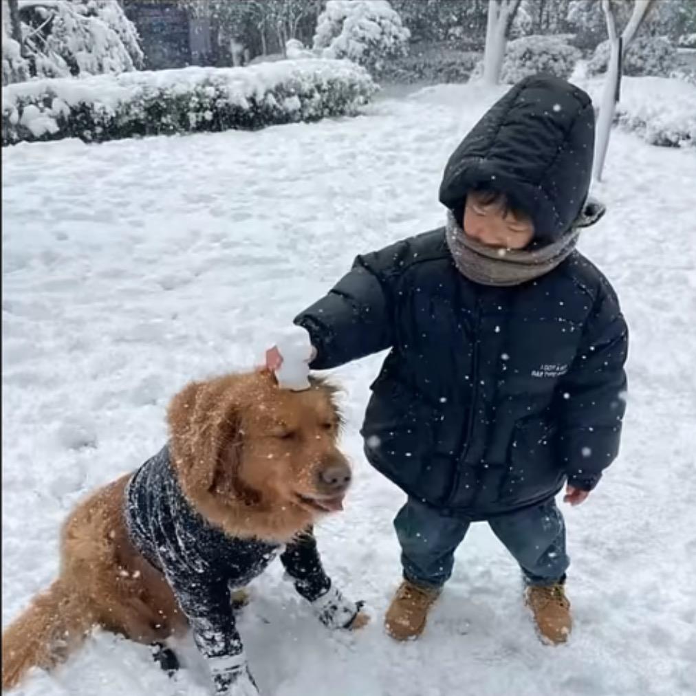 葡萄成熟时