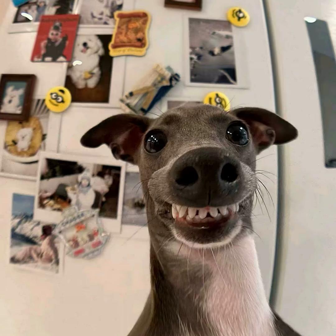 🌙      .