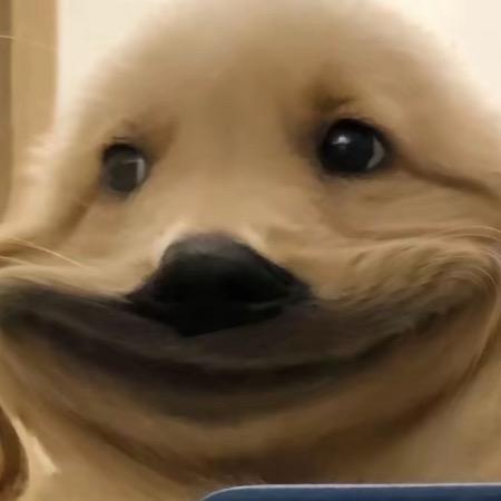 圈少爷🍩ᴹᴵᴺᴳᴴᴱ