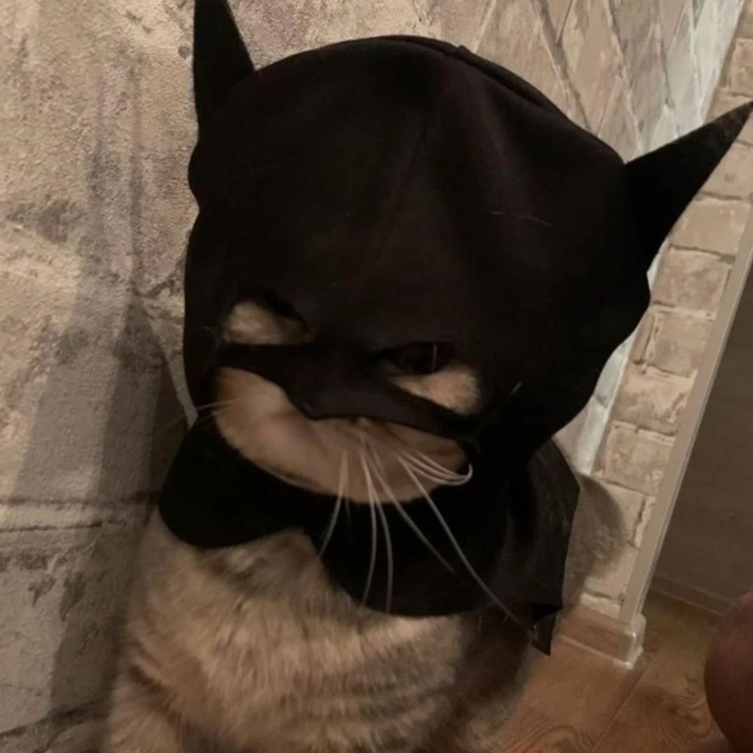 @～@～