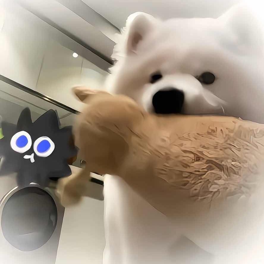 🐈‍⬛