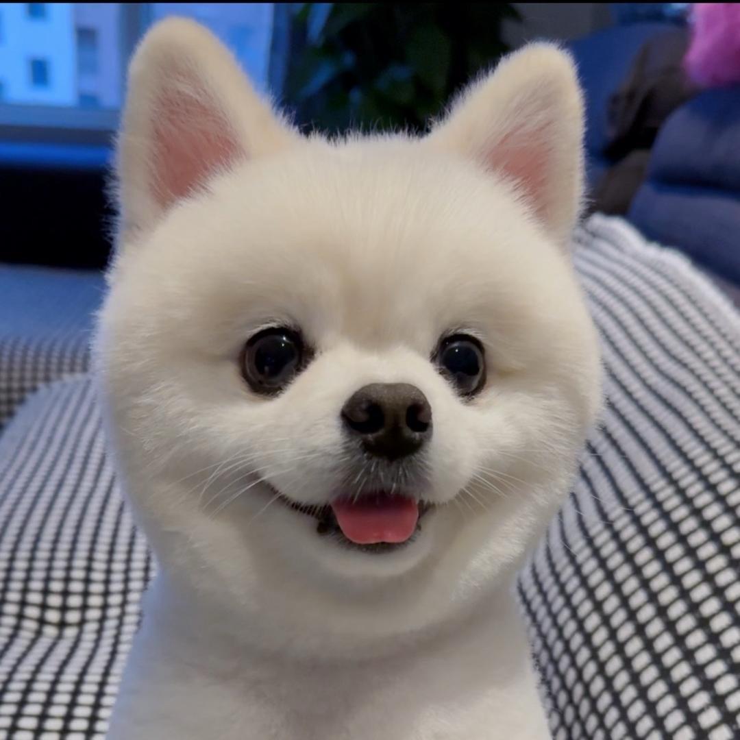 大福