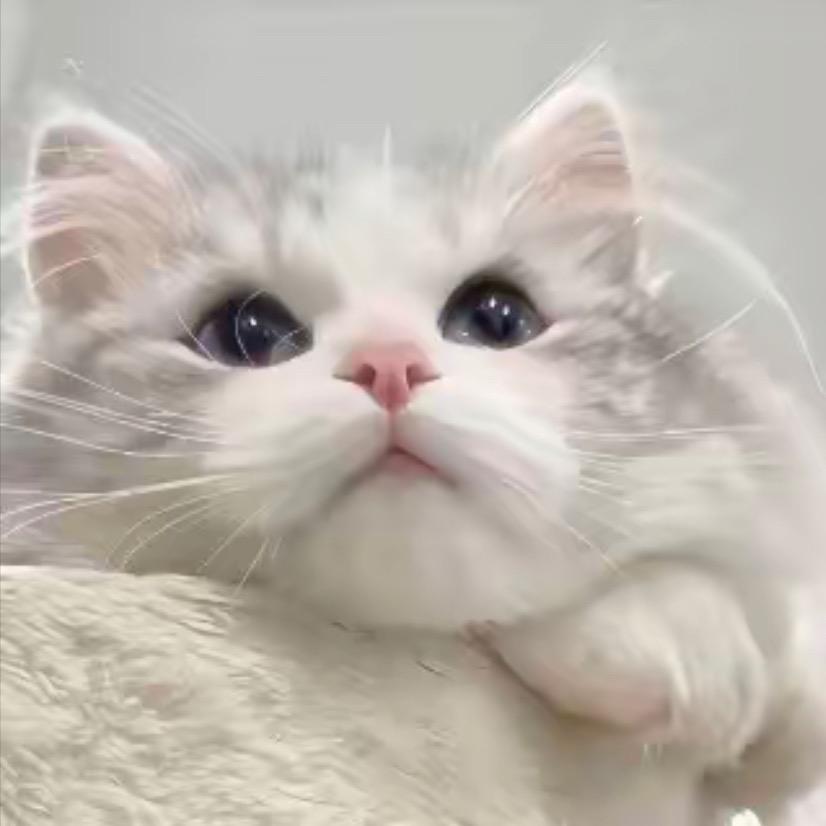 脐橙男孩🍊（招代理）