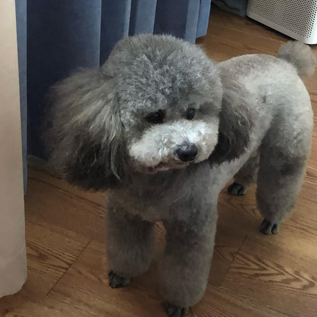 干啥啥邢