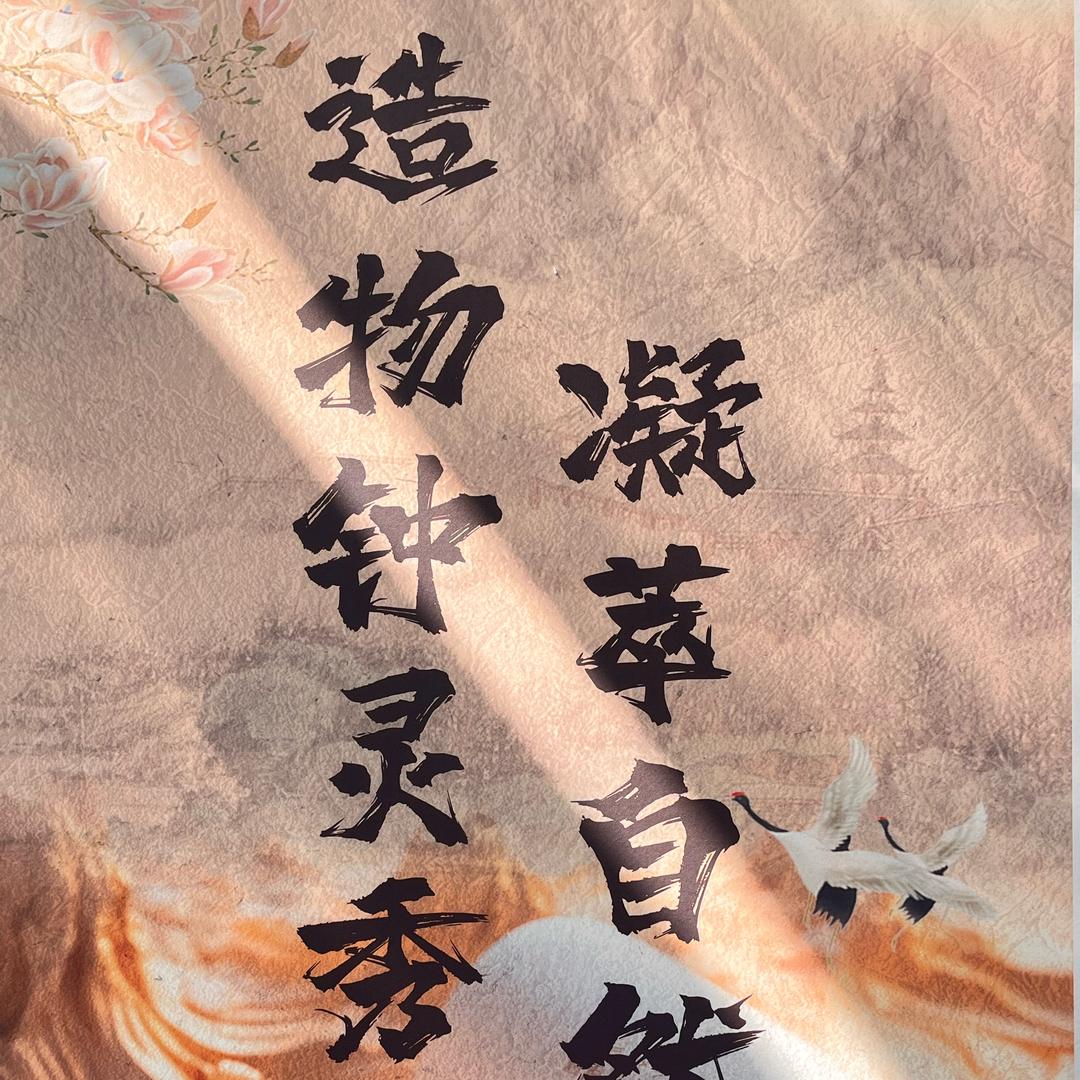 给你宇宙zy