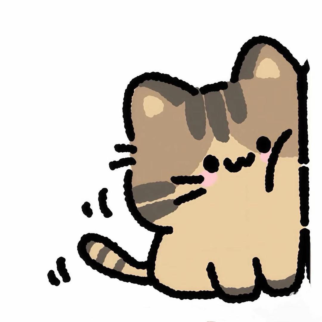 D  Y