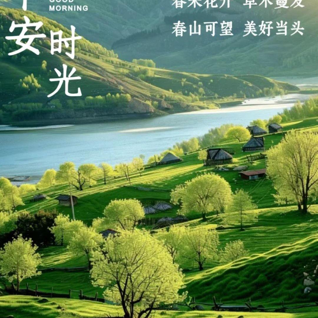 勿忘我