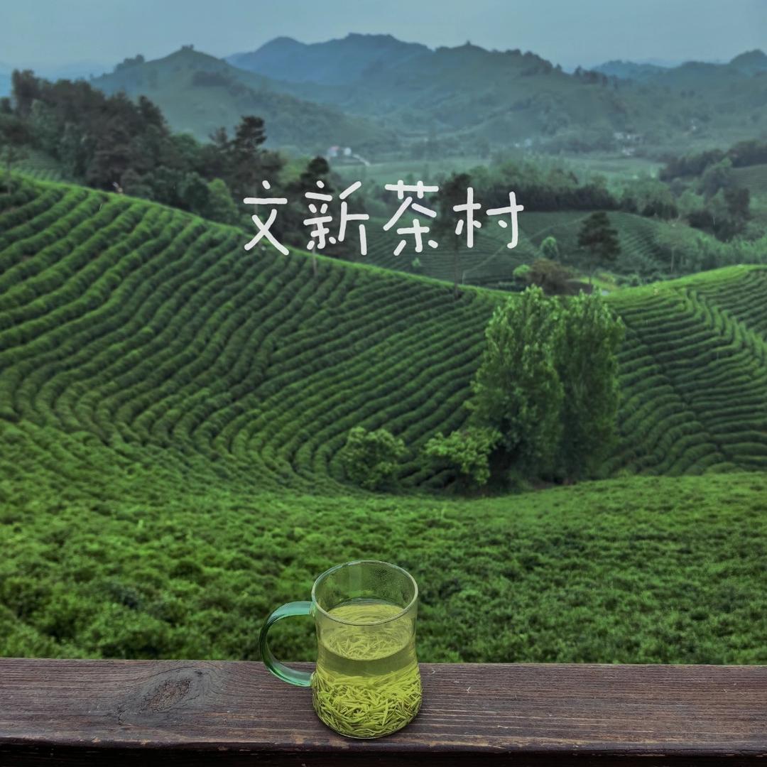 宝宝冰