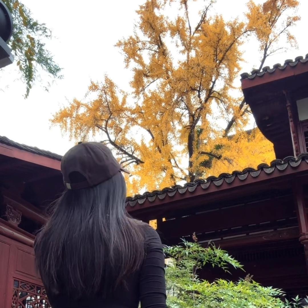 顺🍀丽