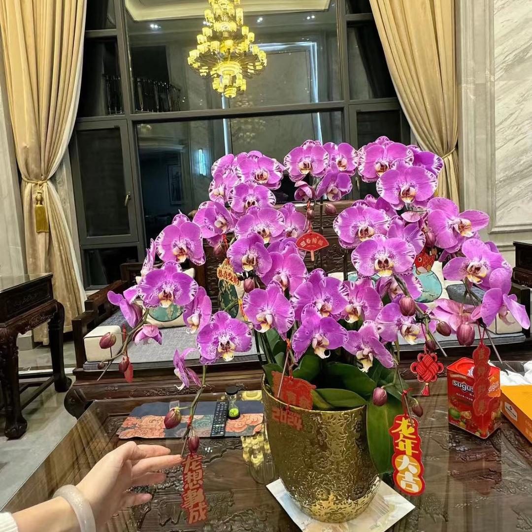 步步高升🌹❤️