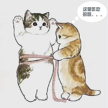当当AKA大白猪