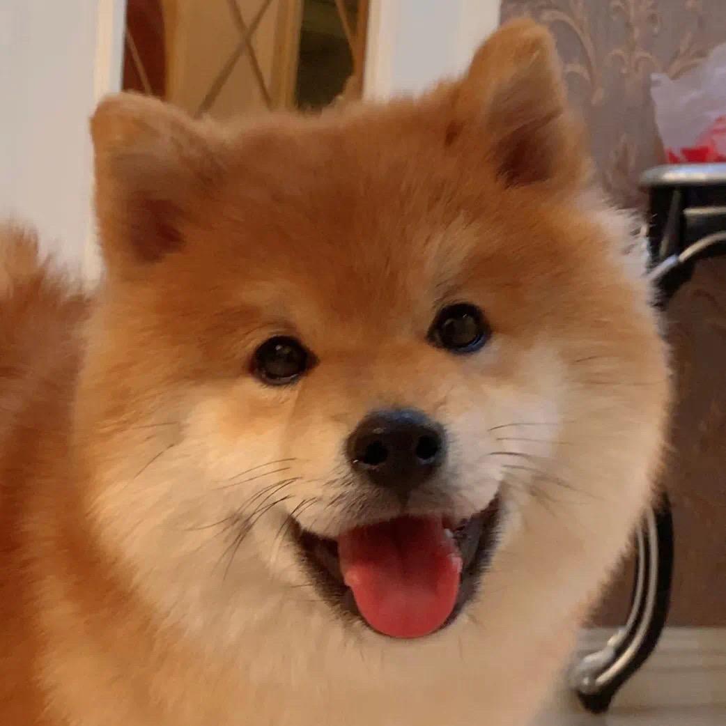 不刀