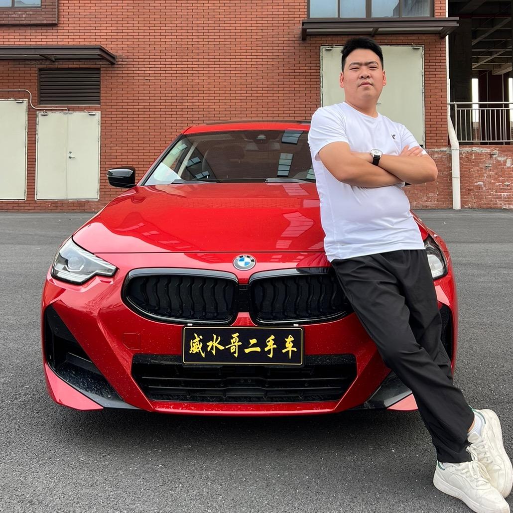 威水二手车