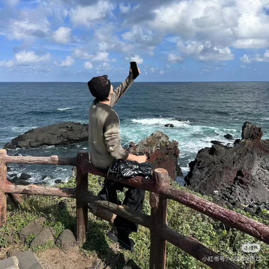静养的鹰。