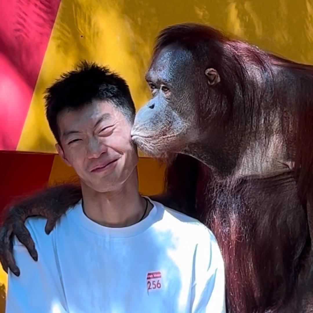 游乐城的孙一鸣头像