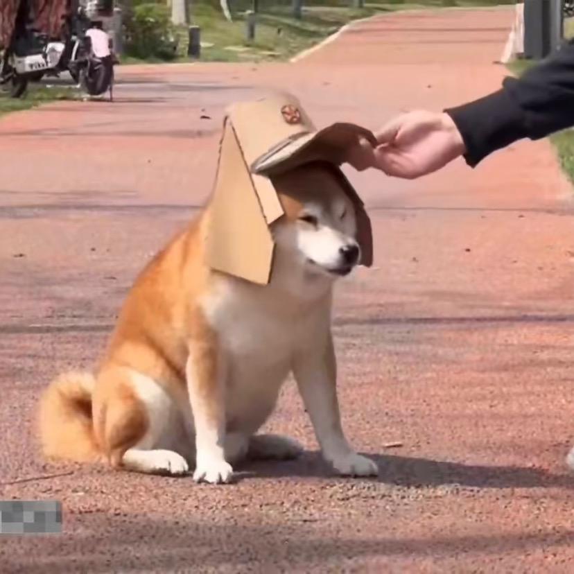 不药而愈