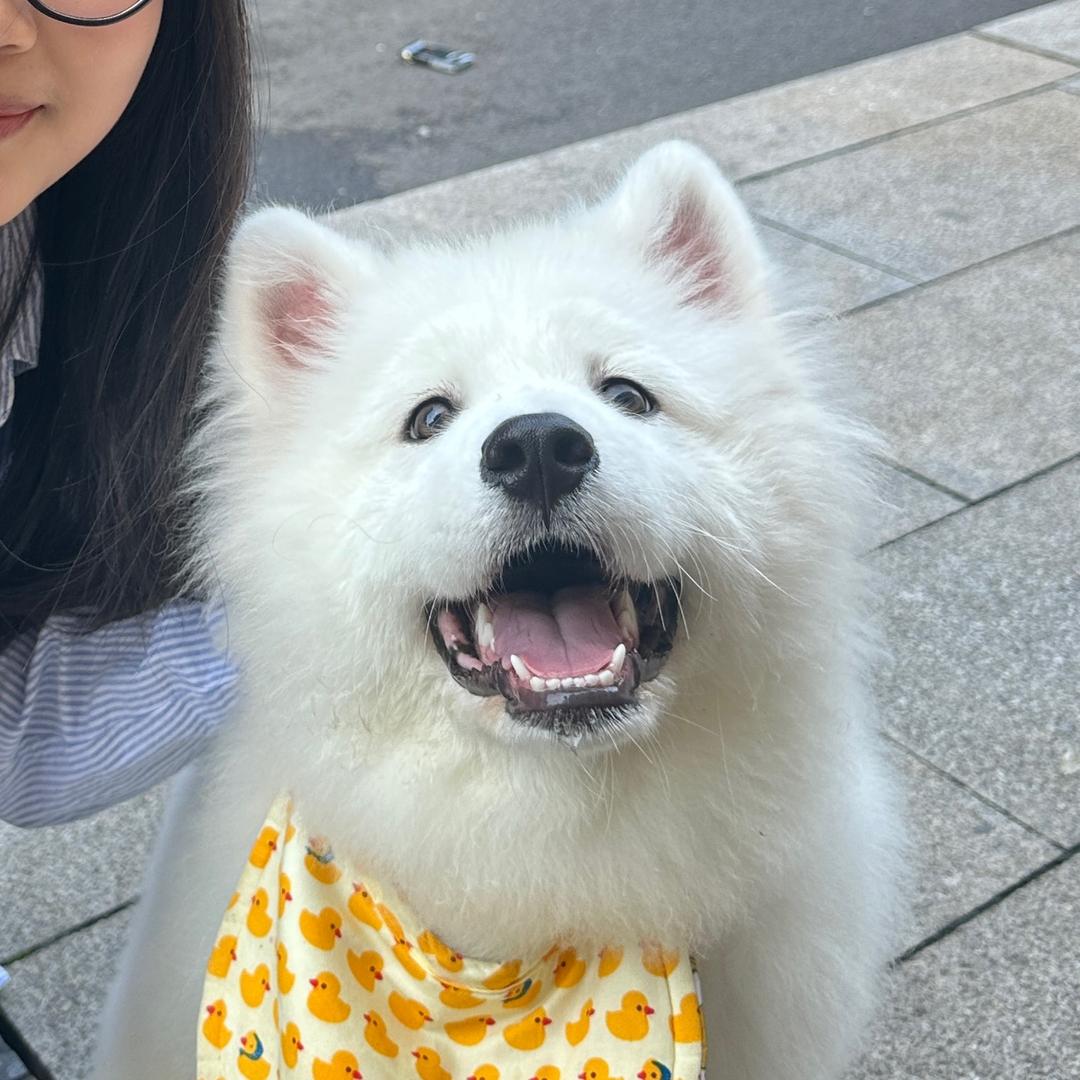 番石榴