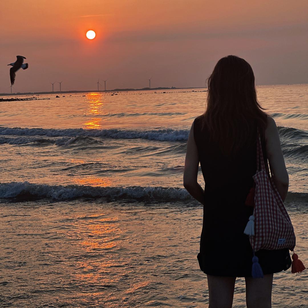 别看我只是一只🐑