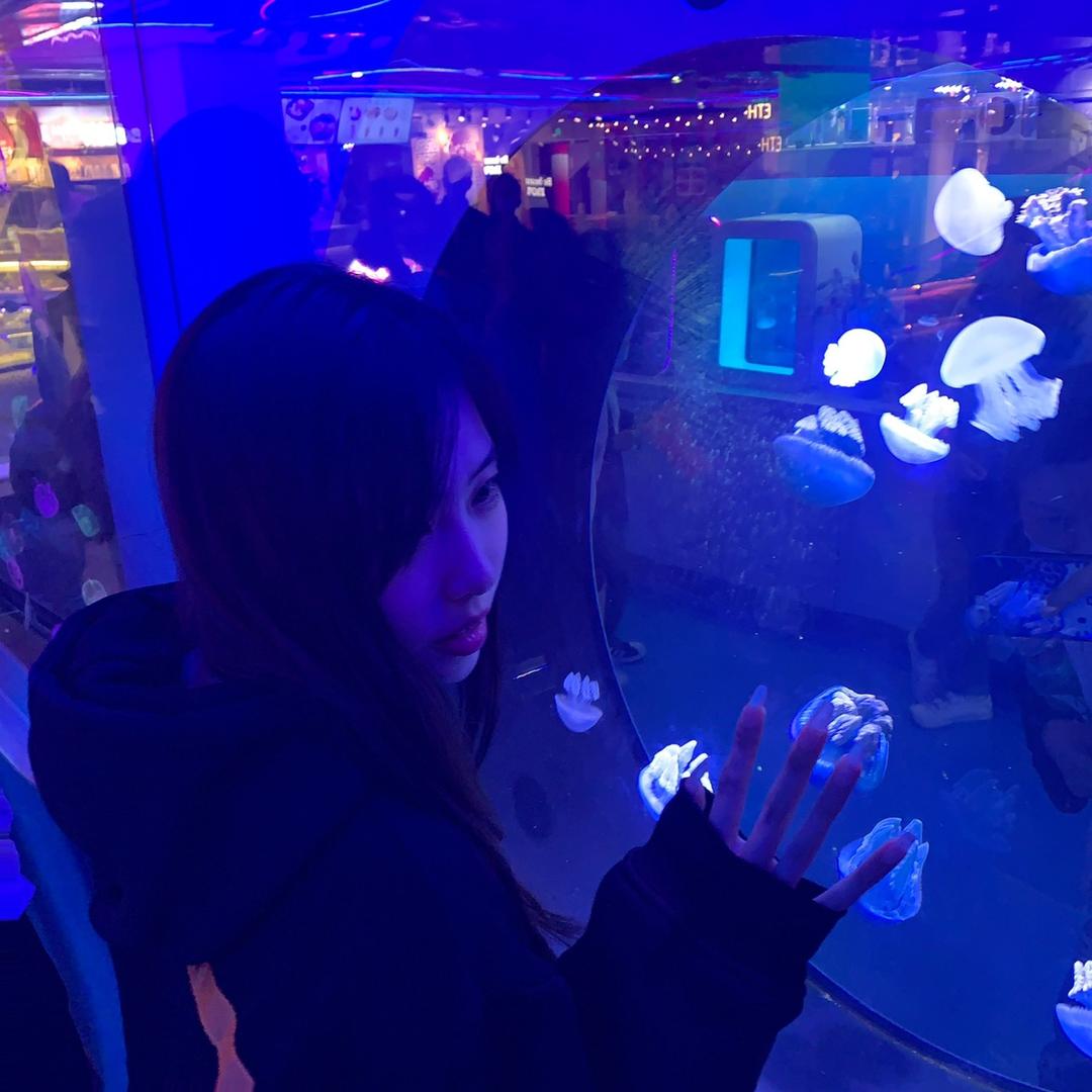 _申芳赫