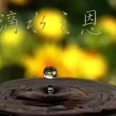 “李” 好  呀！