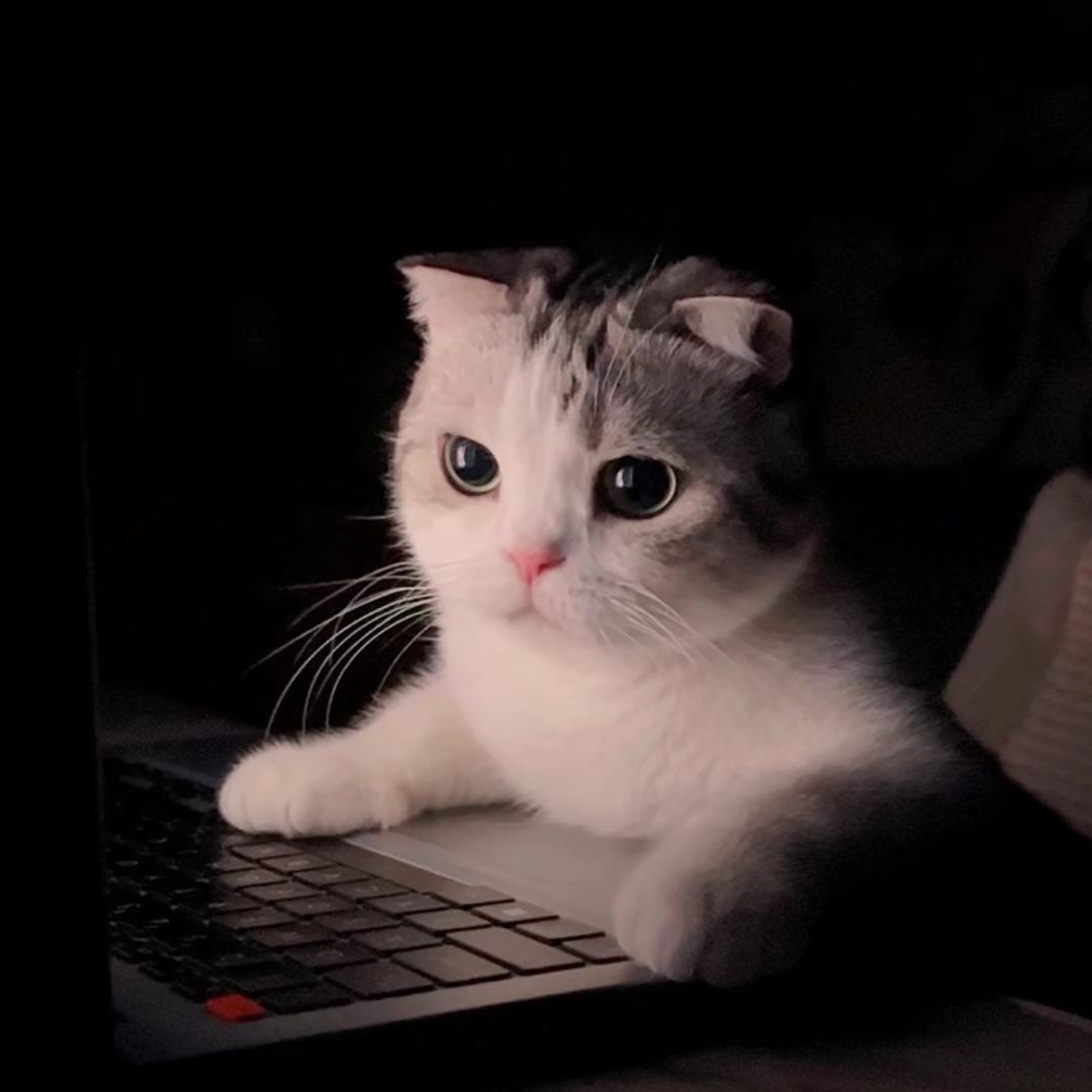 。！小宝贝