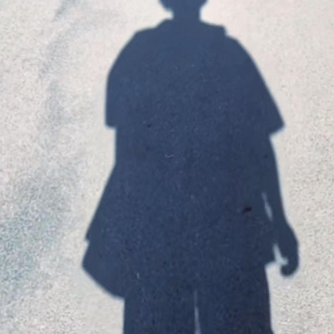 🍃影子🍂（小李斌）