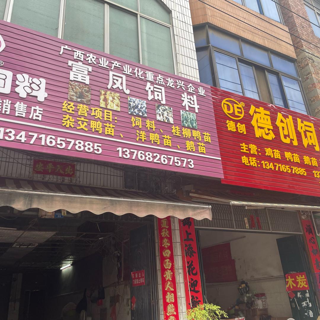 家禽西施