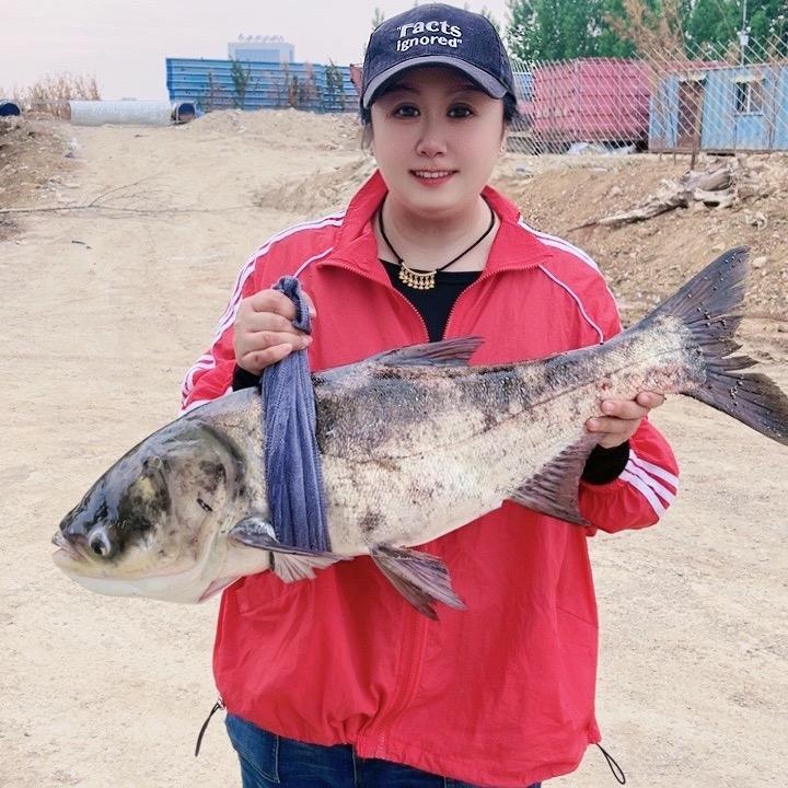 胖墩🎣