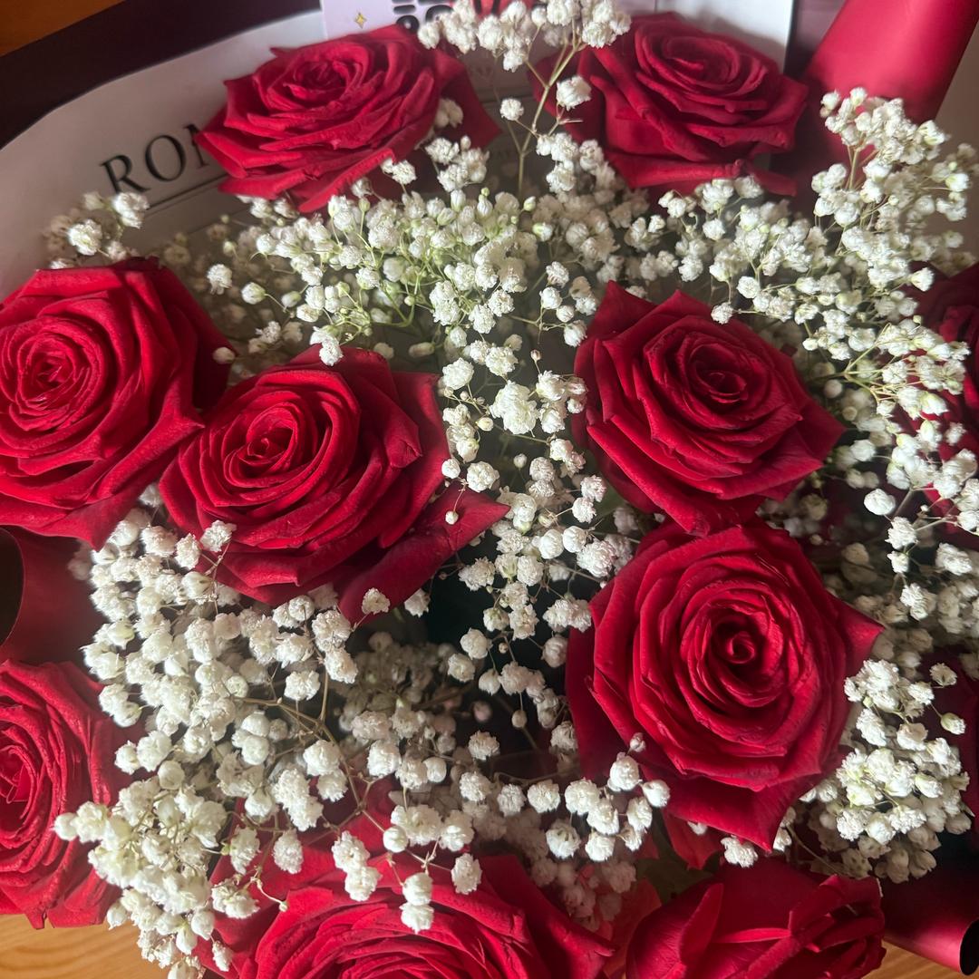 ༼  日🌄落  ༽