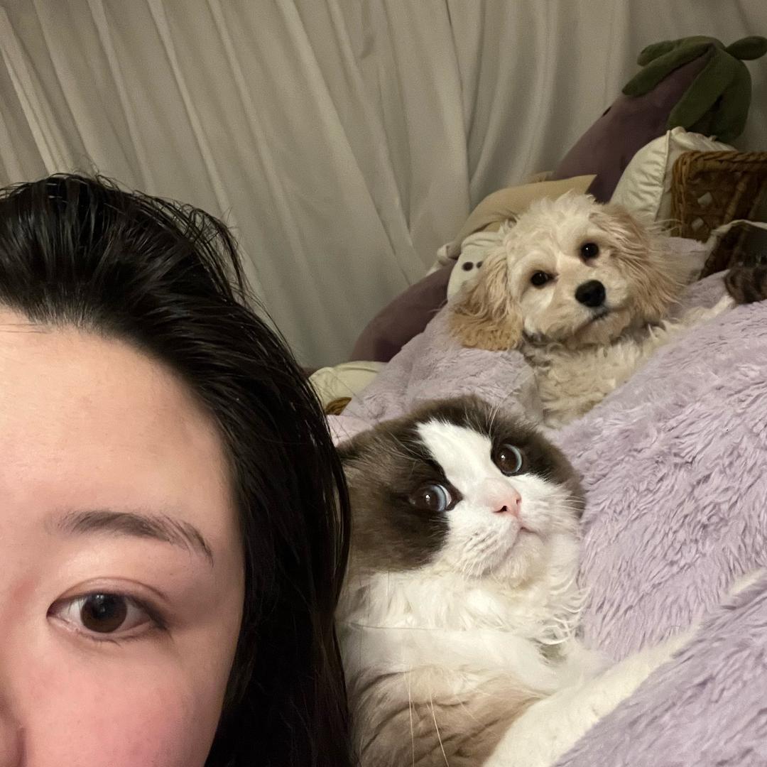 祭奠我死去的脚皮