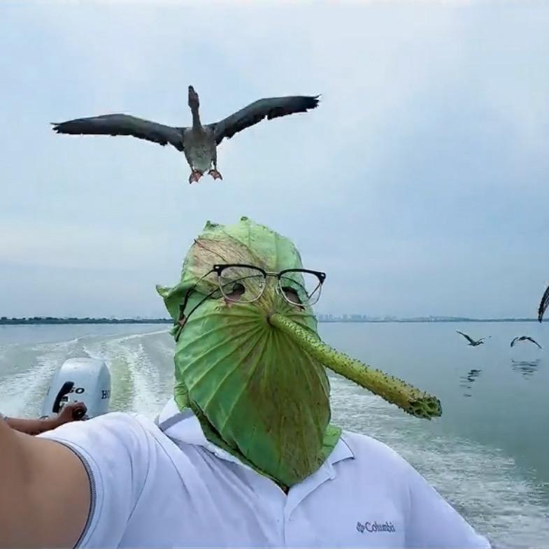 弔戼　　　　　　🪳