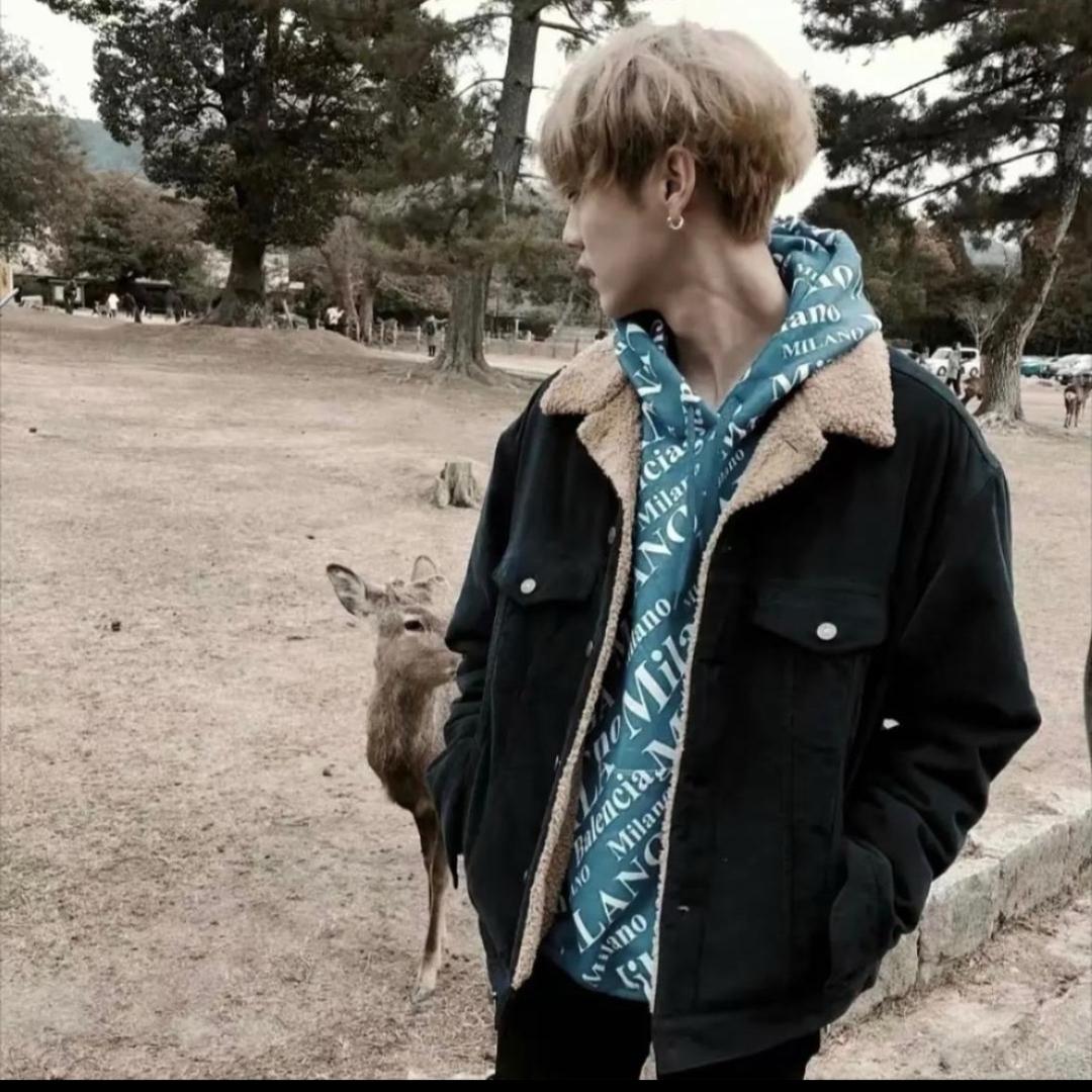 小熊.