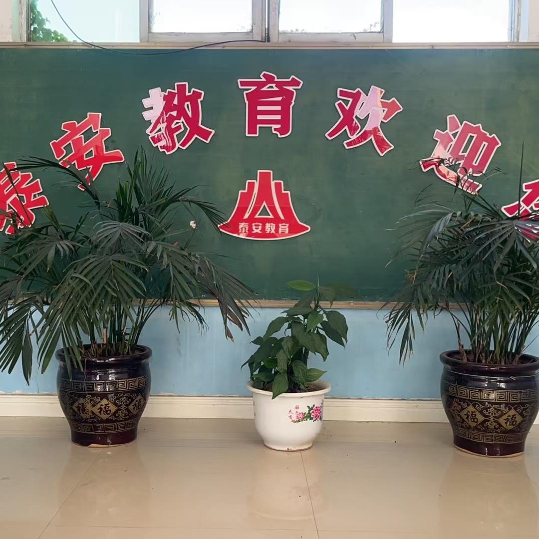 南城泰安教育培训学校