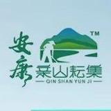 安康耘集臻选企业店