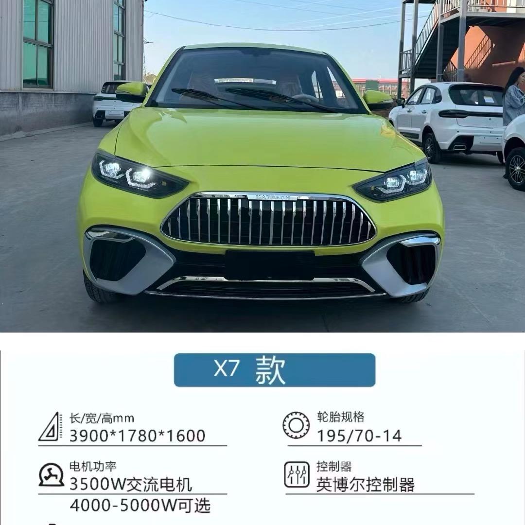 琅驰宏阔电动车～丽丽