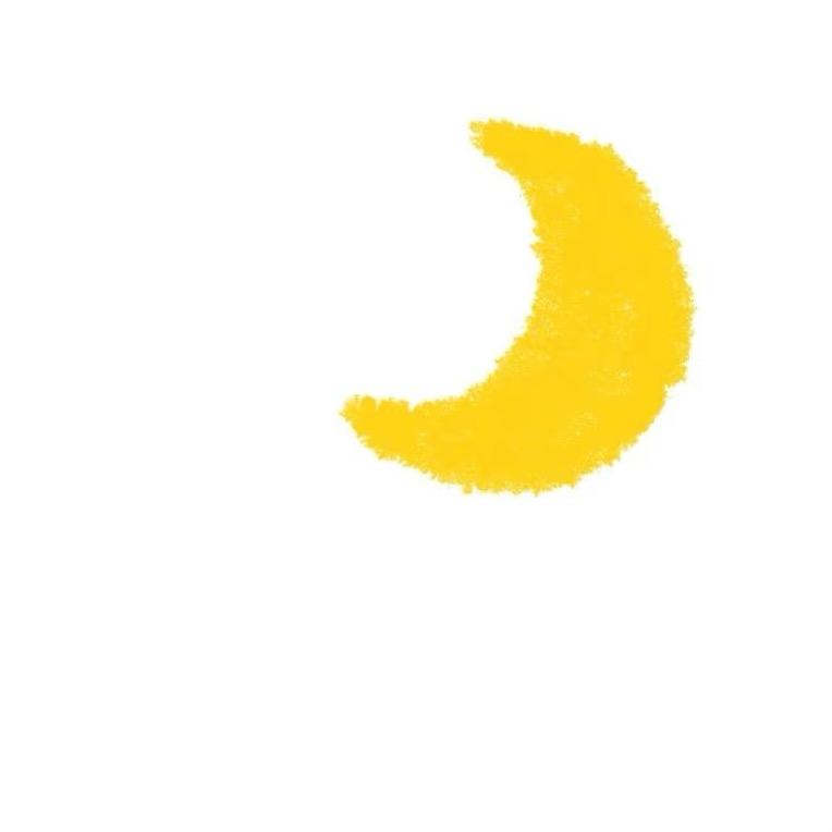 🌙🌙