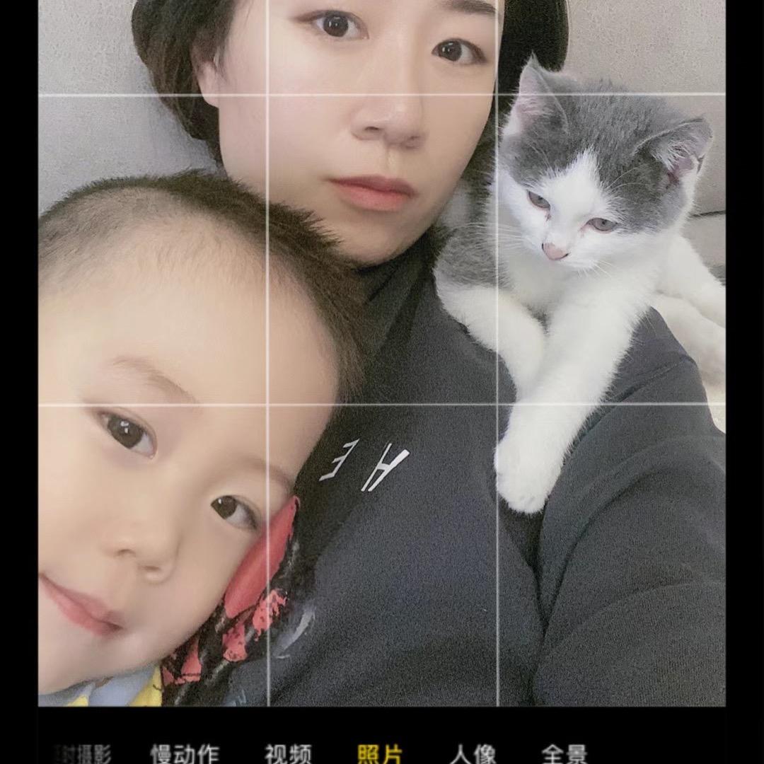 娜娜家有两只猫