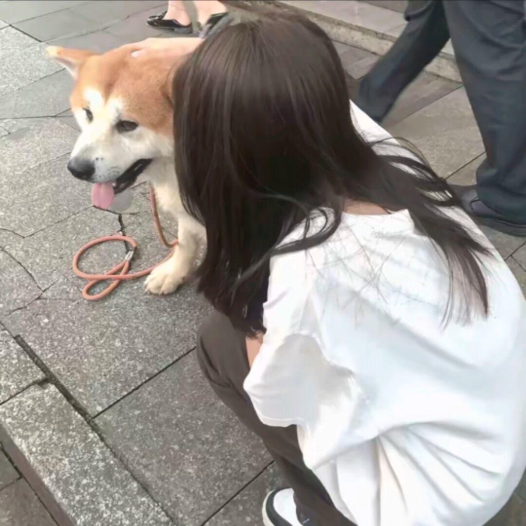 龙浩
