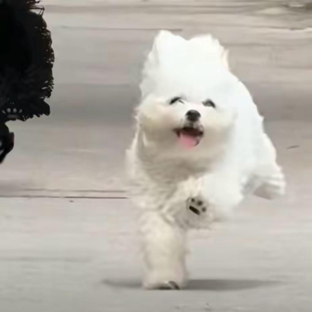 烤肉屋朦胧的辣椒