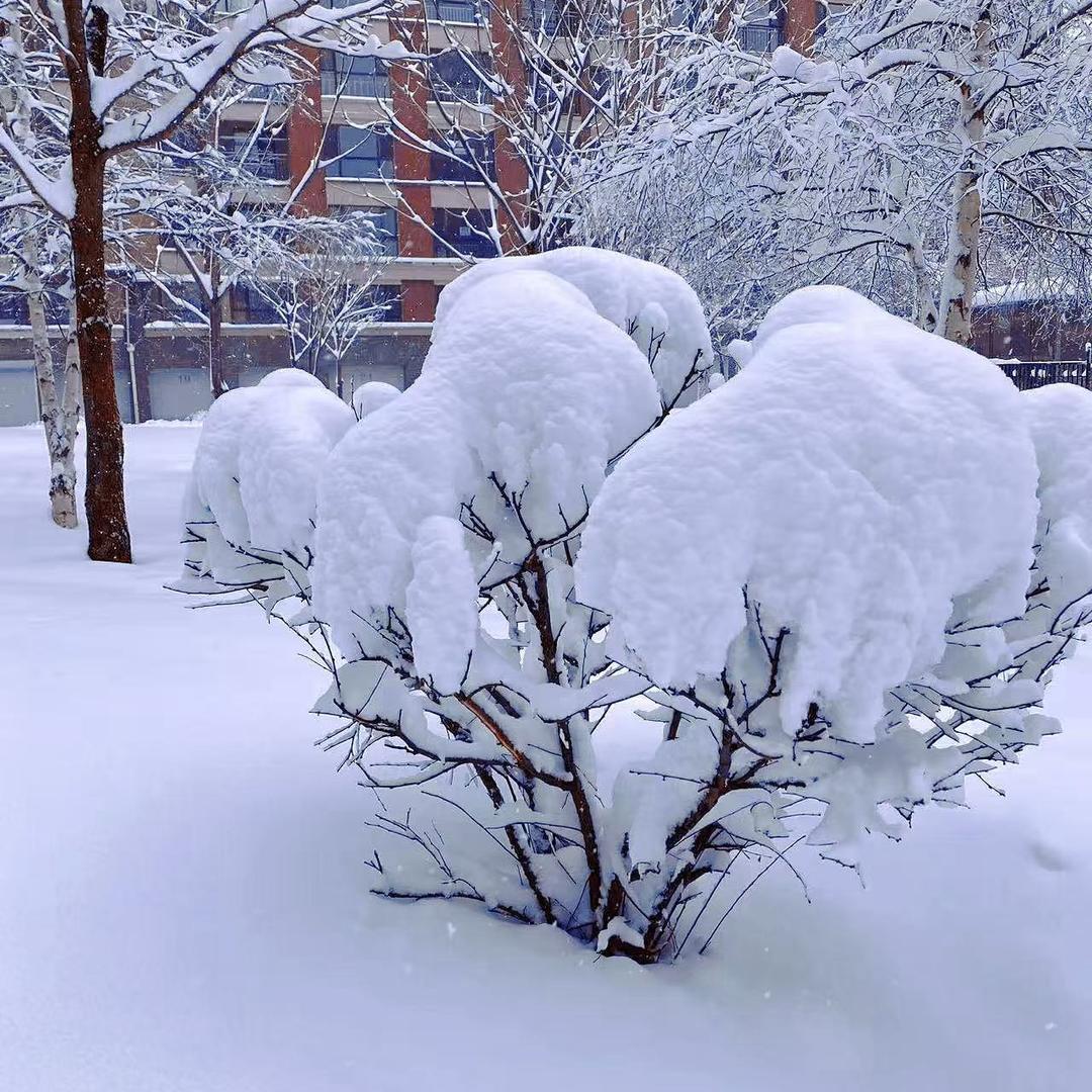 米朵麻麻(拒连赞)