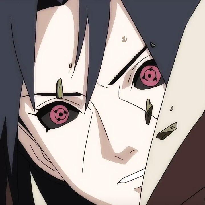 忘了她就听付豪.