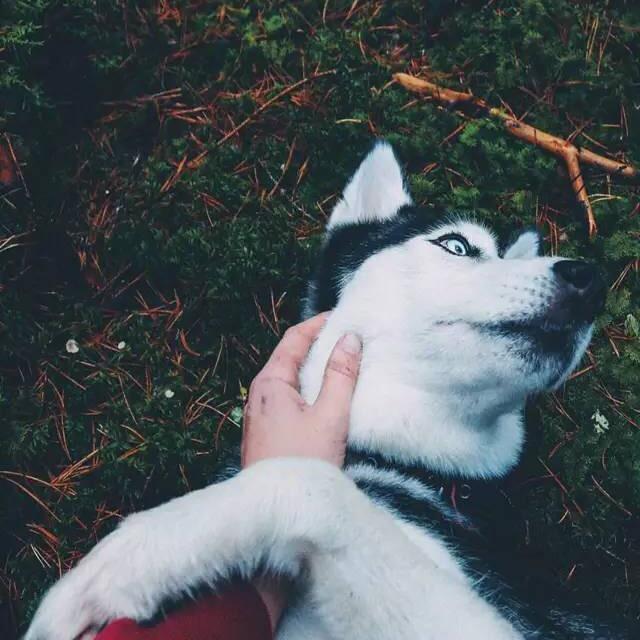 Soul温暖大白星球