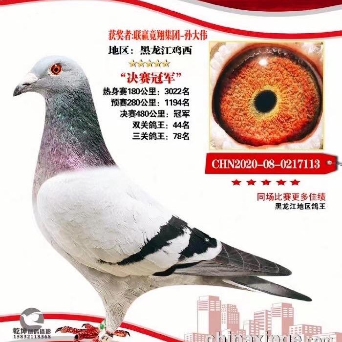 联赢竞翔集团鸡西孙大伟