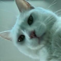 骑自行车的老司机