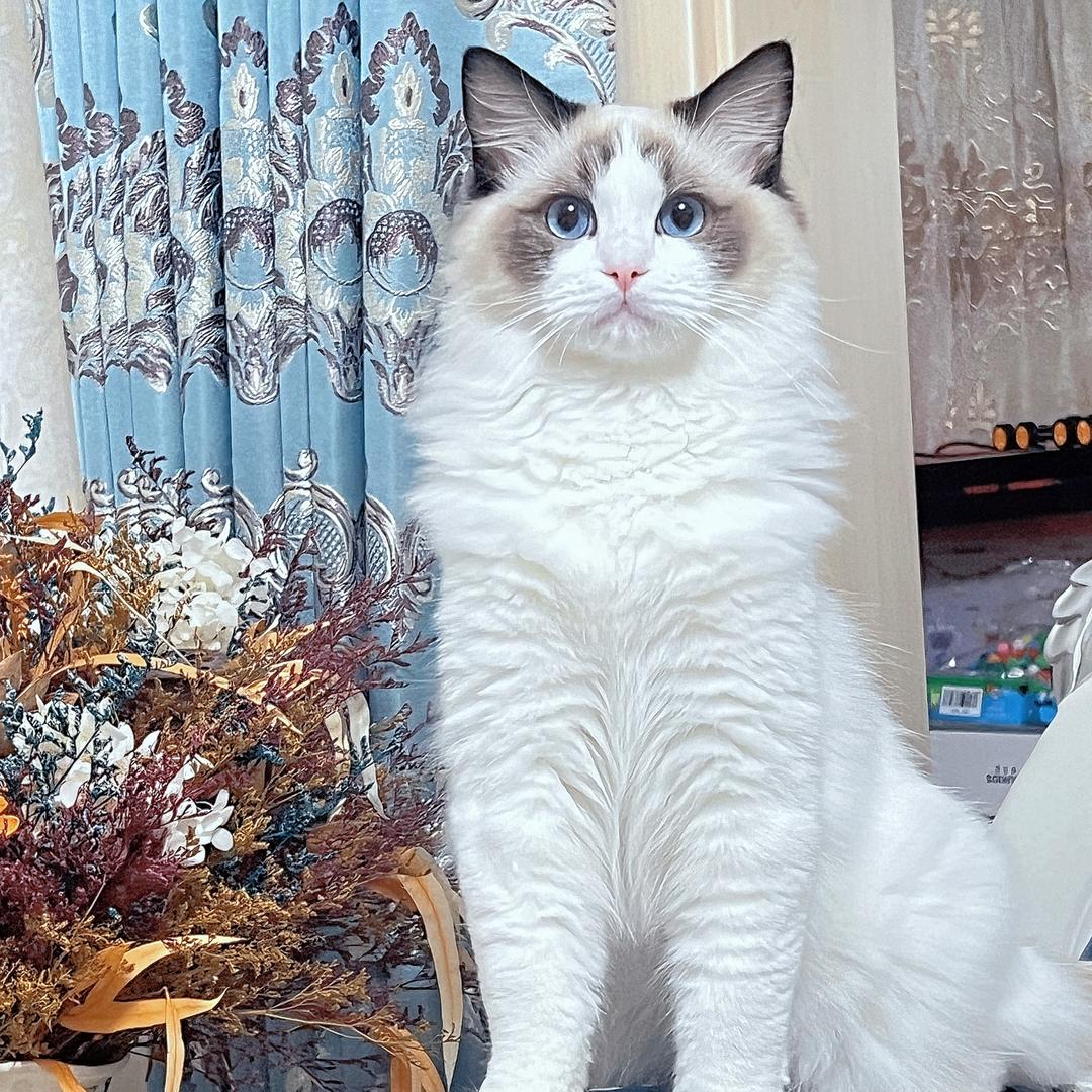 er👑: ℳℒℴѵℯ·王