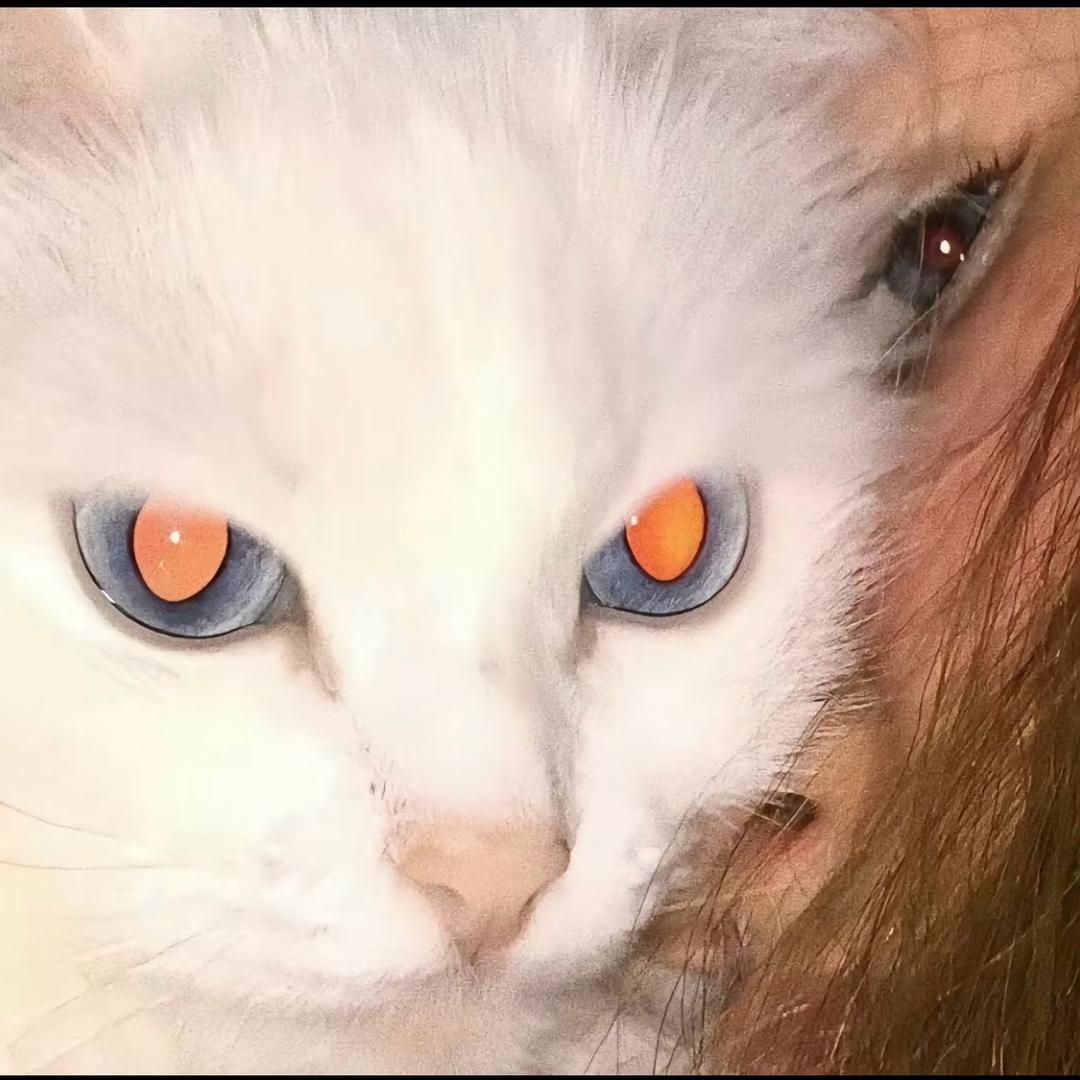 归零_