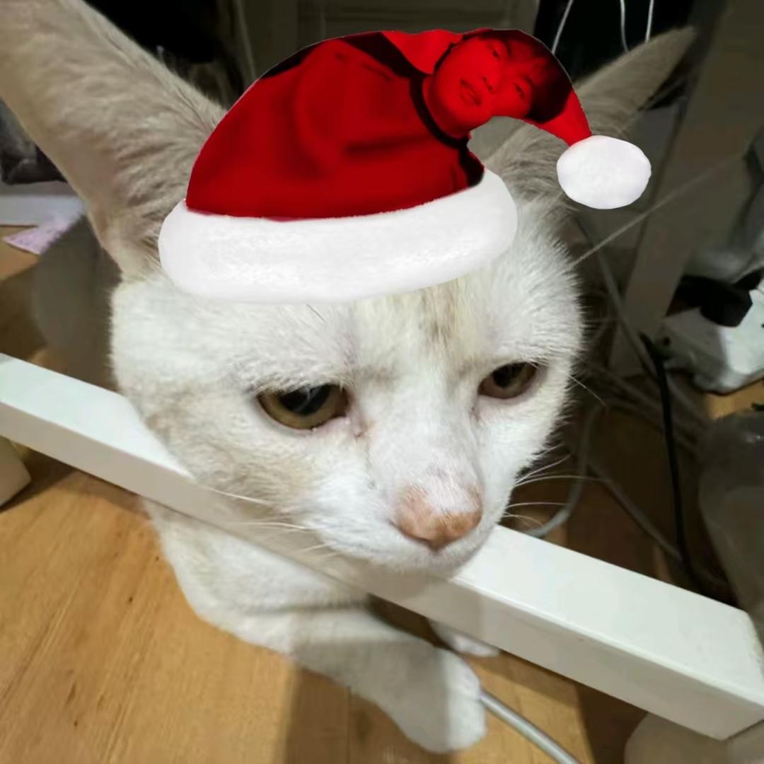 小小蜘蛛（求流量版）